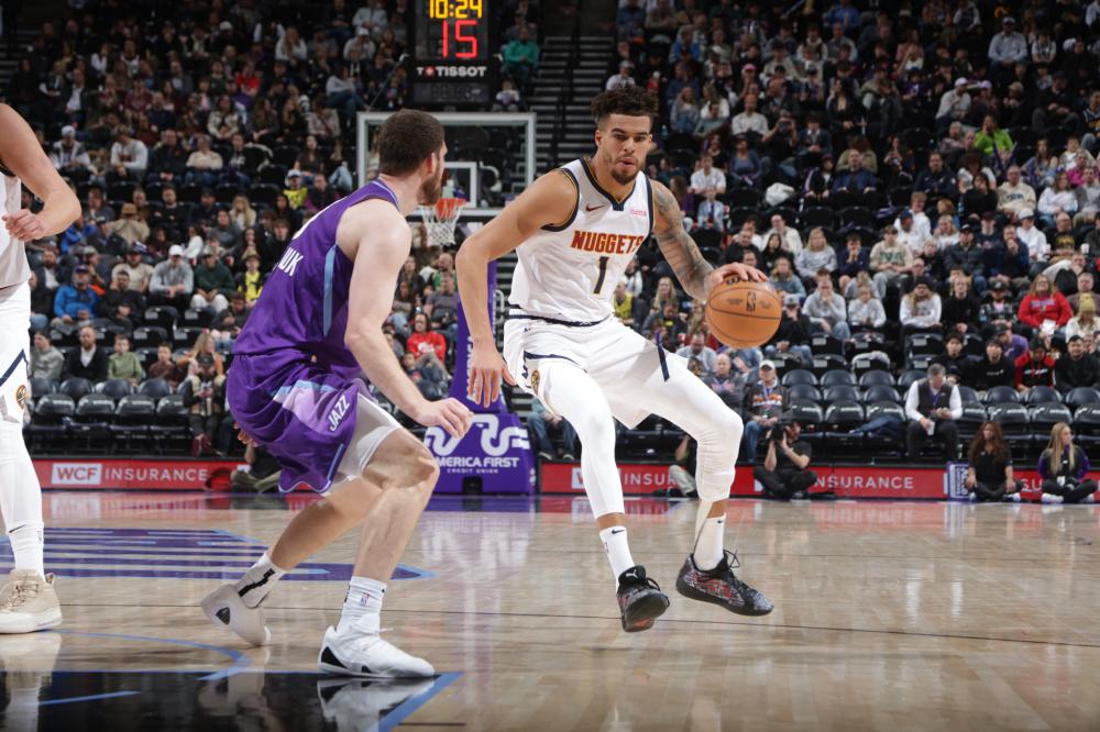 布鲁克斯因 布鲁克斯因